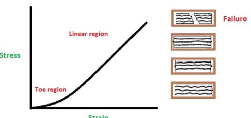 Fig. 1 Stress-strain curve for articular cartilage. 