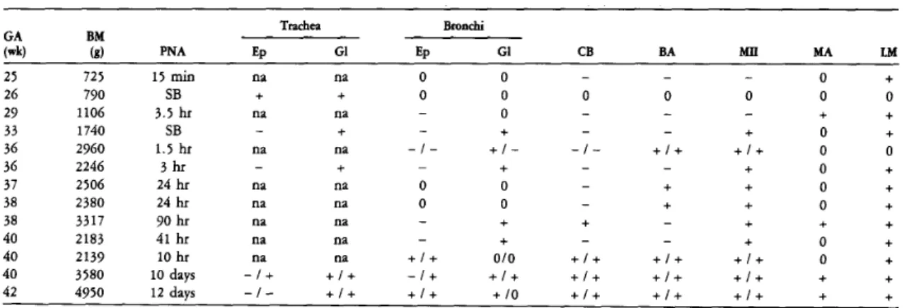Table 7. SP-A and SP-A mRNA in Newborn Infants (25-42 Weeks of Gestation) 
