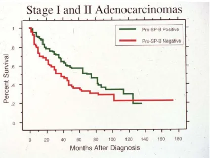 Figure 29.  Actuarial cumulative survival curves for 172 patients with stage I and II  adenocarcinoma