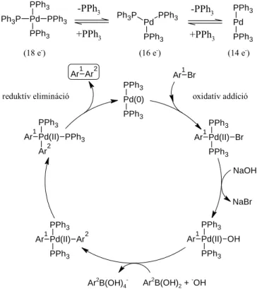 2.3. ábra: Suzuki keresztkapcsolási reakció katalitikus köre biaril rendszerek kialakítására 
