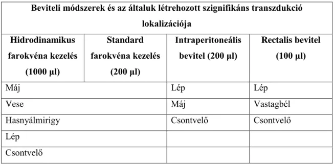 3. táblázat: A különböző helyre, magas nyomással beadott fluoreszcens siRNS-ek  felvételi helyei [ 71 ]