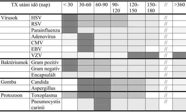 4. Táblázat A leggyakoribb fertőzések jelentkezési ideje a szervátültetés után  TX utáni idő (nap)  < 30  30-60  60-90  