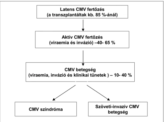 2. ábra CMV fertőzés, szindróma és betegség 
