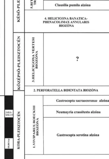16. ábra: A pleisztocén malakosztratigráfiai beosztása (nem idõarányos) Fig. 16: Malacostratigraphic classification of the pleistocene (non pro rata)