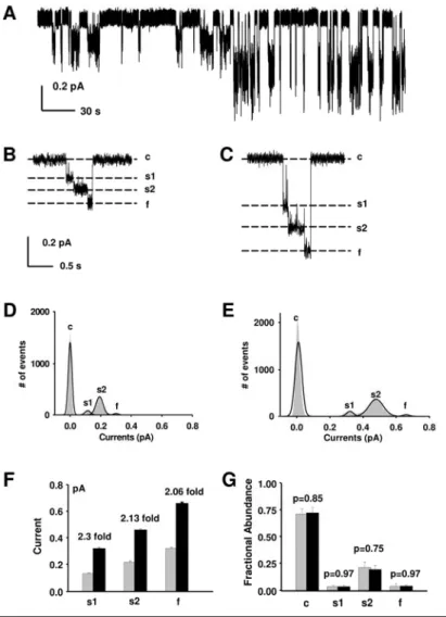Fig. 9. (A) A representative experiment for R334C-CFTR, using experimental  conditions identical to those in Fig