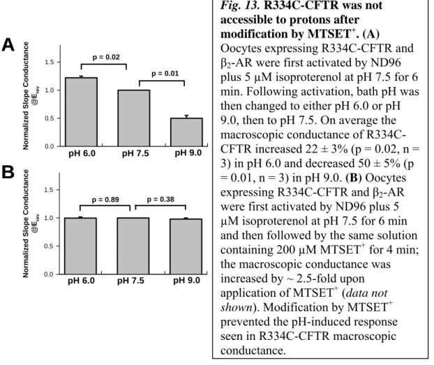 Fig. 13. R334C-CFTR was not  accessible to protons after  modification by MTSET + . (A)  Oocytes expressing R334C-CFTR and  β 2 -AR were first activated by ND96  plus 5 µM isoproterenol at pH 7.5 for 6  min