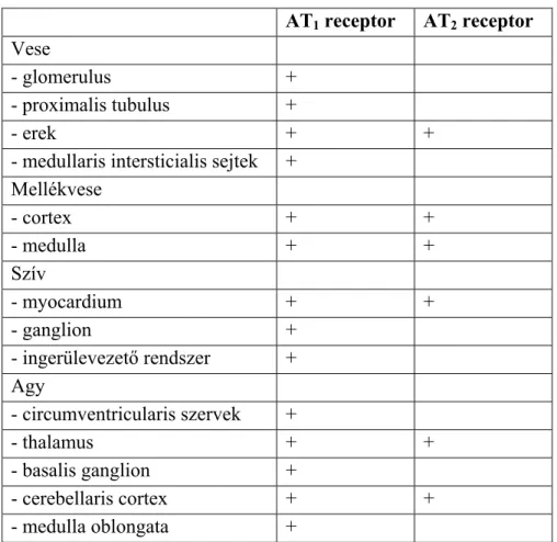 5. táblázat Az AT 1  és AT 2  receptorok leggyakoribb expressziós helyei felnőtt emlősökben (Allen és  mtsai 2000)
