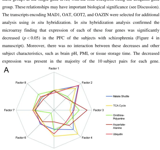 Figure  3.     Correlations  and  connections  between  affected  gene  groups.  A,  To  estimate the mathematical relationships between the effects on different gene groups, the  normalized p values from were used to calculate a correlation matrix and per