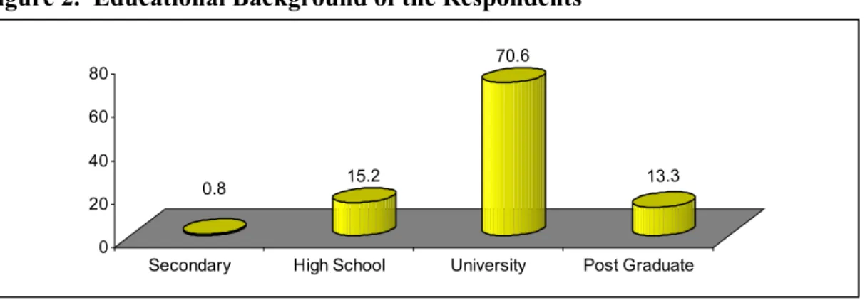 Figure 2.  Educational Background of the Respondents 