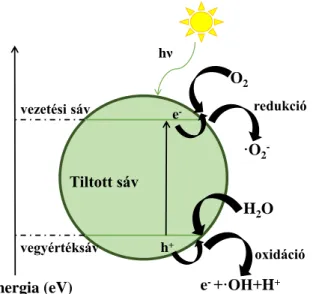 1. ábra - A fotokatalitikus folyamat főbb lépéseinek sematikus ábrája 