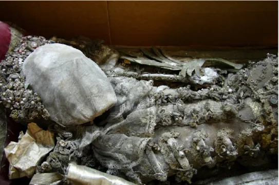 17. ábra. Szent Augusztusz maradványa Mosonmagyaróváron, a koporsójában. A koponya jó  megtartottságot mutat