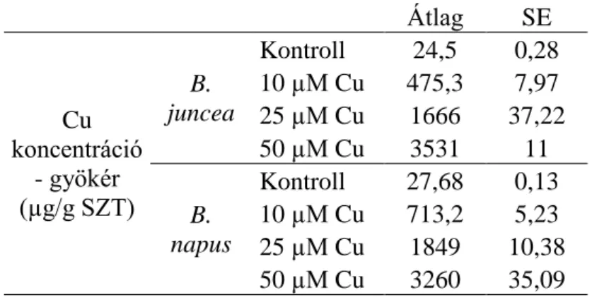 1. táblázat: Rézkezelt Brassica növények gyökerének réztartalma (µg/g SZT). A kontrollhoz képest minden  kezelés minden esetben legalább P≤0,001 (***) valószínűségi szinten szignifikánsan különböző értékeket  eredményezett (n=6)