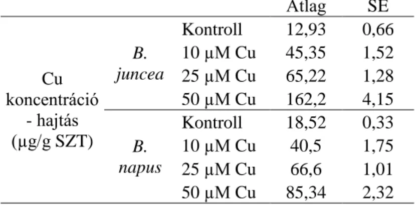2. táblázat: Rézkezelt Brassica növények hajtásának réztartalma (µg/g SZT). A kontrollhoz képest minden  kezelés minden esetben legalább P≤0,001 (***) valószínűségi szinten szignifikánsan különböző értékeket  eredményezett (n=6)