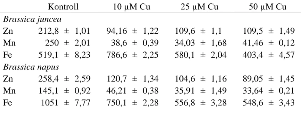 5. táblázat: Zn, Mn és Fe koncentráció a rézkezelt Brassica fajok gyökerében. A kontrollhoz képest minden  kezelés  minden  mikroelem  esetében  legalább  P≤0,001  (***)  valószínűségi  szinten  szignifikánsan  különböző értékeket eredményezett (n=6)