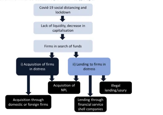 Figure 1 - Infiltration of firms in financial distress: frequent schemes/typologies