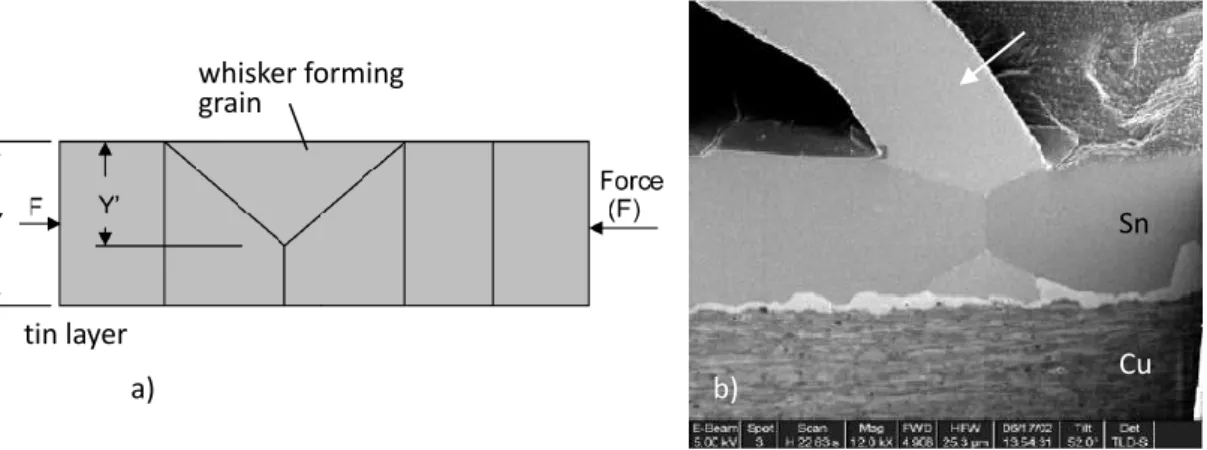 Figure 3.1. a) Simplified representation of matte tin after recrystallization [3.3],    b) whisker growing on top of the grain boundary of two Sn grains [3.2]