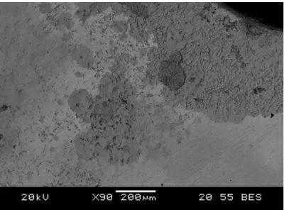 Figure 3.10. Corrosion spots on the tin layer 