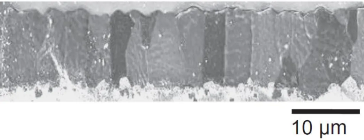 Figure 3.12. Columnar type grain structure of the tin layer [3.33] 