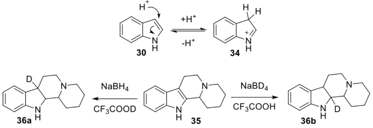 Figure  2.8.  Reduction  of  an  indoloquinolizidine  alkaloid  (35),  the  proof  of  the  reaction  mechanism
