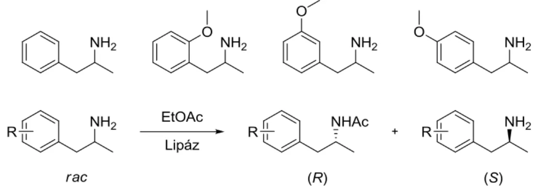 11. ábra β-szubsztituált izopropil-aminok lipáz-katalizált N-acilezése 