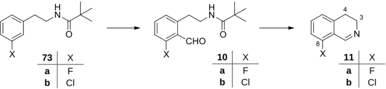 18. ábra. 8-Halogén-szubsztituált 3,4-dihidroizokinolinok (11a,b) tervezett szintézise  