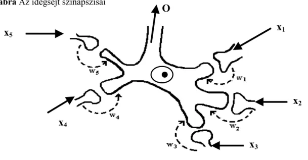 8. ábra Az idegsejt szinapszisai
