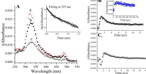 Figure 8. (A) Transient absorption spectra recorded in 0.1 mmol dm -3  amoxicillin solution  containing 0.5 mol dm -3  tert-butanol and saturated with N 2  10 μs (a), 80 μs (b) and 580 μs (c) 