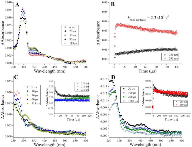 Figure 9. Transient absorption spectra obtained in N 2 -saturated solutions containing 0.5 mol  dm -3  tert-butanol and 0.1 mmol dm -3  ampicillin (A), cloxacillin (C) with inset displaying  kinetic traces in a solution as specified for (C), and 6-aminopen