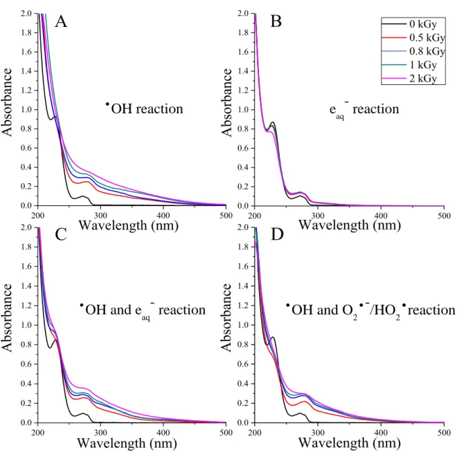 Figure 10. Absorption spectra of 0.1 mmol dm -3  AMX solutions subjected to 0-2 kGy dose  under different circumstances (Section 4.2.1.3): N 2 O-saturated solution (A), N 2 -saturated 