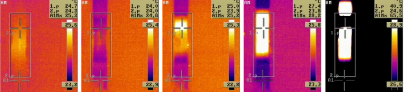Figure I.1: Snapshots about the temperature distribution of a polymeric sample, taken by thermal camera during a uniaxial rupture test [1]
