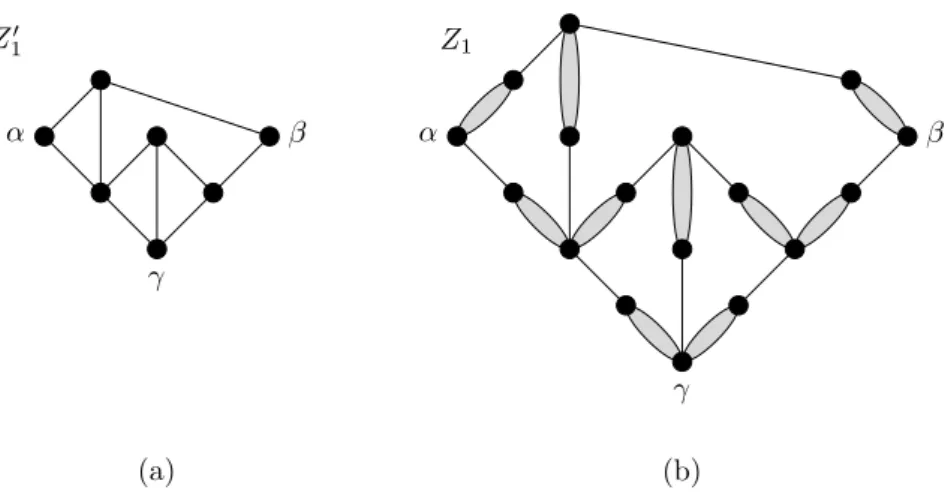 Figure 6.5: The γ-copier Z 1 . Figure (a) shows the graph Z 1  that served as base for constructing Z 1 