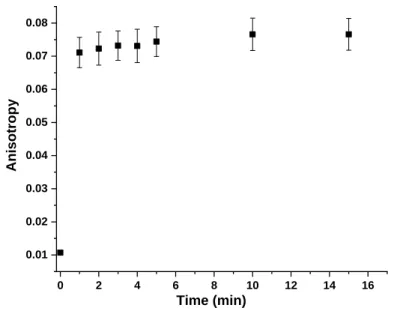 Figure 40: Anisotropy change in time during incubation of RuL-Lys with PNPs. 