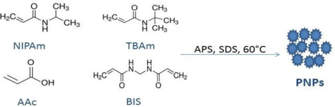 Figure 7: Scheme for the preparation of multifunctional polymer-based PNPs