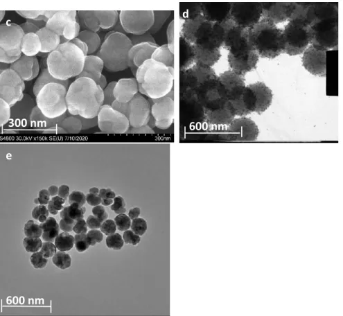Figure 29: SEM images of Fe 3 O 4  prepared by the co-precipitation method (a); SEM images of PS-Fe 3 O 4  (b); 