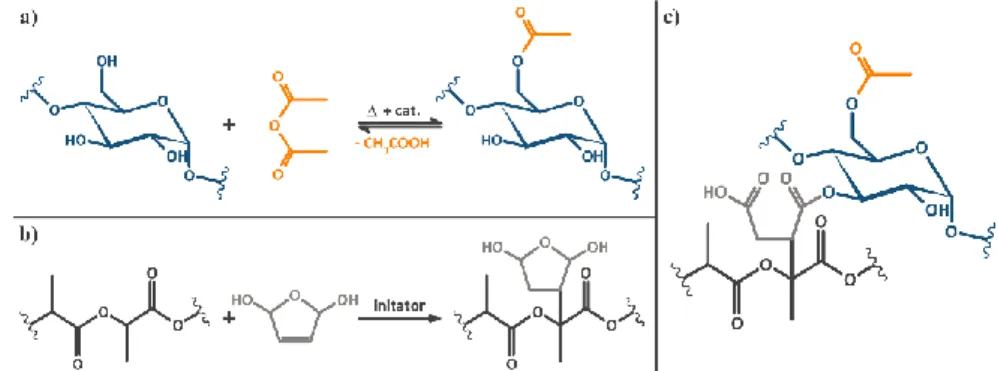 Figure 3.1.   The reactive compatibilization of PLA and starch acetate: a) organocata- organocata-lytic  acetylation  of  corn  starch;  b)  synthesis  of  MAPLA;  c)  coupling  of  MAPLA and starch acetate through the formation of ester bonds