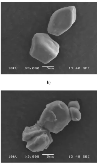 Figure 3.6.  SEM micrographs of unmodified and acetylated corn starches obtained at  3000x magnification a) CSAc0 b) CSAc2 c) CSAc4