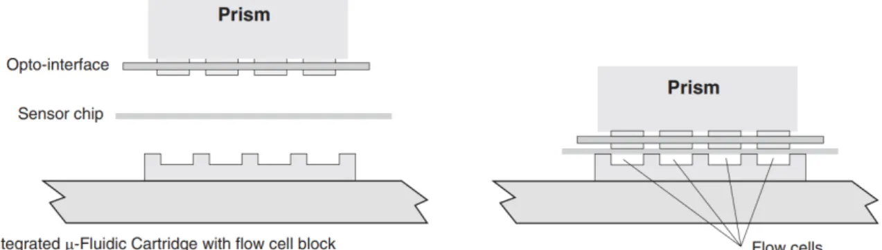 Figure 1.5: The dimensions of the reactions-space are required for estimating the reactant concentration