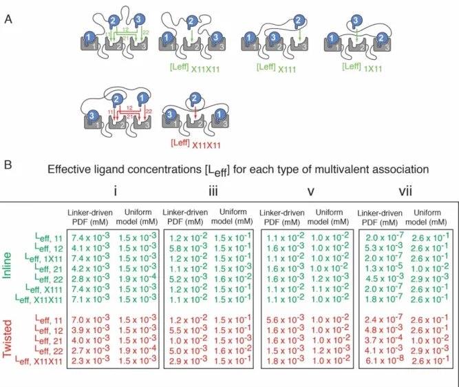 Figure 3.2: Effective ligand concentrations C ef f , determined with a uniform model in which ligand is uniformly distributed in a volume with a radius of the linker contour length fails to describe the positional steric effects of both rigid and out-of-re