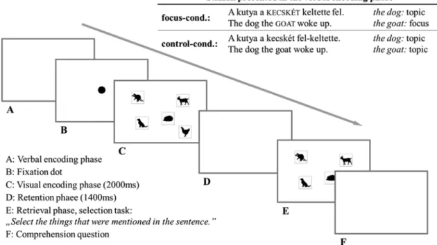 Fig. 8. Trial sequence of Experiment 3.  