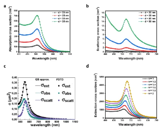 Figure  3.  Calculations  based  on  quasistatic  approximation,  indicating  the  increase  of  (a)  absorption  and  (b)  scattering cross sections upon increasing the size of gold nanoparticles (c) Absorption, scattering and extinction  cross sections c