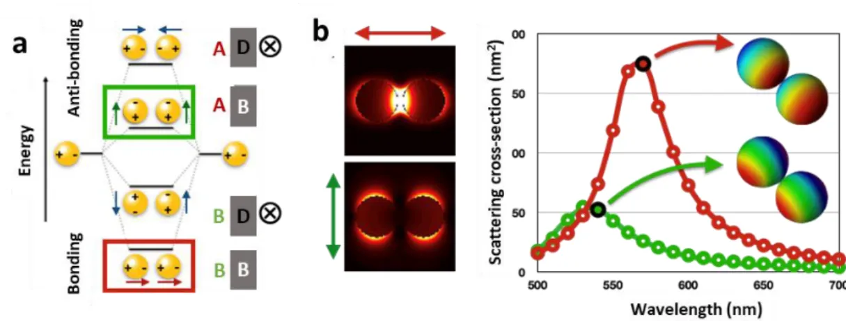 Figure 11. (a) The evolution of coupled plasmon modes based on plasmon hybridisation theory