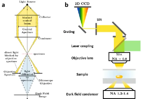 Figure 15. (a) A setup of a dark-field optical microscope operated in trans-illumination mode