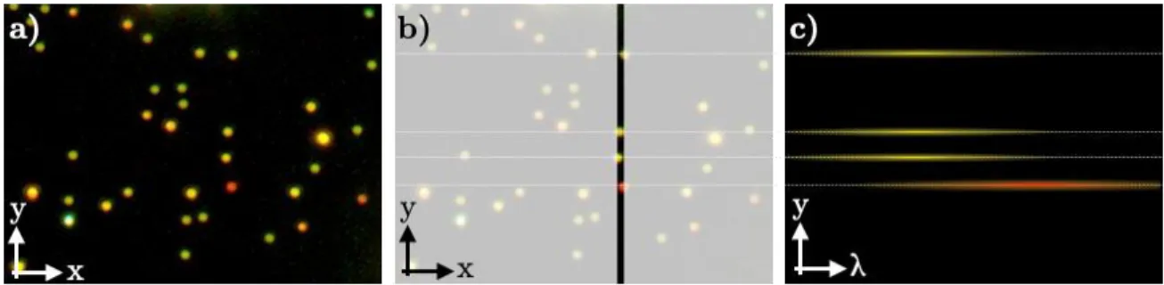 Figure 16. (a) Dark-field image of gold nanoparticles deposited on a glass substrate. 88  (b) The dark-field image  projected onto the entrance slit of the spectrograph