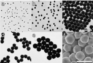 Figure 18. Citrate stabilised seeded-growth particles with different sizes (a) 15 ± 2 nm (seeds), (b) 31 ± 3 nm, (c)  69 ± 3 nm, (d) 121 ± 10 nm, (e) 151 ± 8 nm, (f) 294 ± 17 nm 