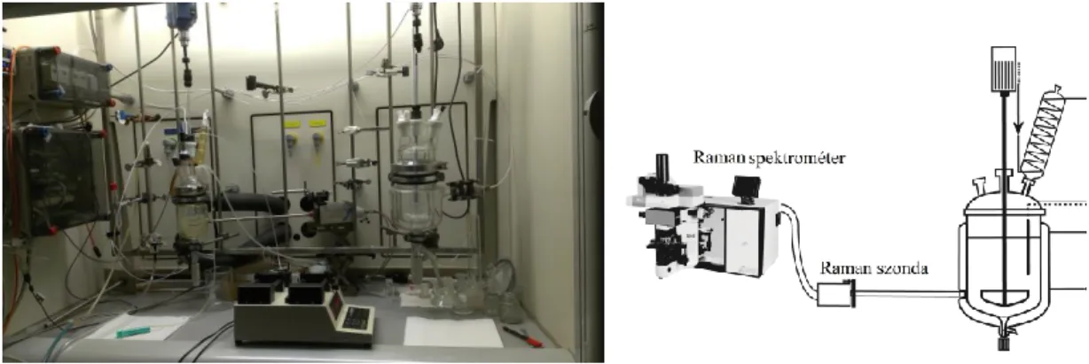 11. ábra Élesztő fermentáció Raman spektroszkópiás vizsgálata, noninvazív mérési elrendezés 