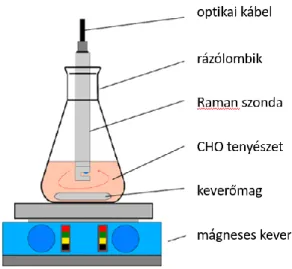 37. ábra Raman spektrumok felvétele a rázatott lombikos sejttenyészetekről 