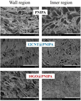 Figure 29. SEM images of PNIPA, 12 mg CNT/g NIPA  (12CNT@PNIPA) and 10 mg GO/g NIPA