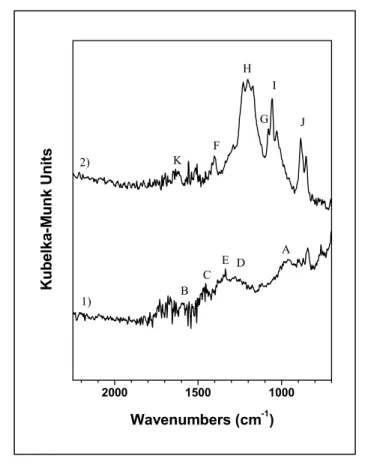 Figure 3.1 Drift difference spectra of carbon fibers oxidized in 20 wt% solution of 1) NaOH, 2) H 2 SO 4