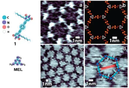Fig. 4.3: STM images recorded at the solid-liquid interface of bicomponent nanoporous networks [46].