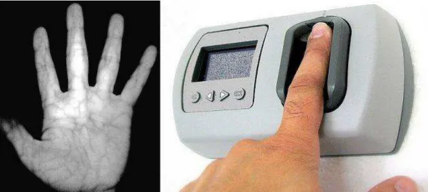 1. ábra :  Tenyér -, illetve ujj érhálózat képi megjelenése és ujjérhálózat olvasó . 1 - Írisz - azonosítás 